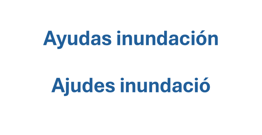 Ayudas Inundacion